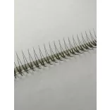 Promade 2D BOLD MAX Strip