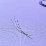 Promade 3D BOLD Bulk