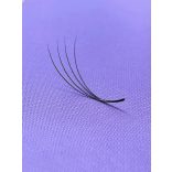 Promade 4D BOLD Bulk