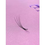 Promade 4D BOLD Bulk