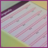 Promade 4D Mix BOLD Mini Color - Pink Neon 