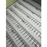 Promade 4D Mix BOLD Mini Color - Ombre Blue