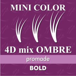 Promade 4D Mix BOLD Mini Color - Ombre Purple