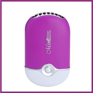Mini fan