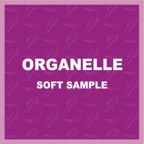 Organelle SOFT Sample